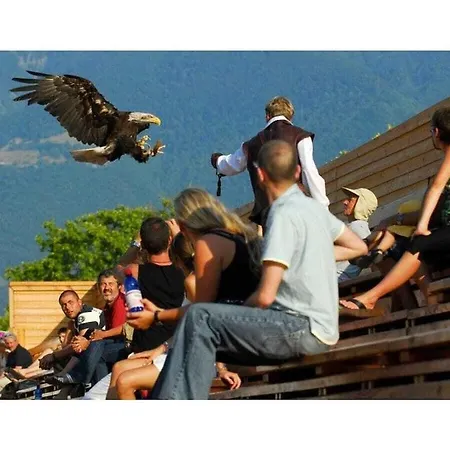 1-bedroom Vakantiehuis Losone