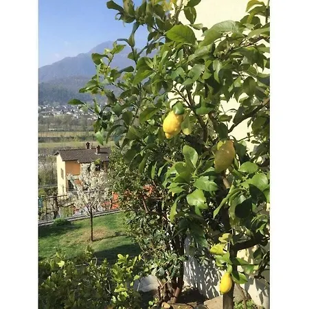 Vakantiehuis 1-bedroom Losone